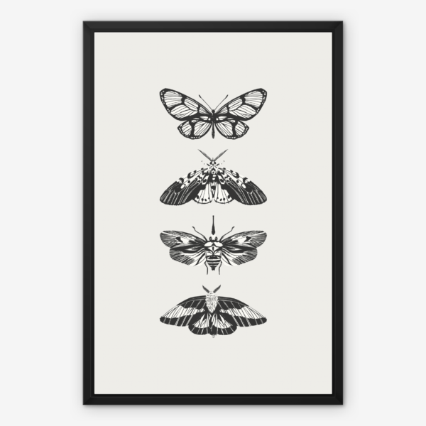 Butterflies Wall Art