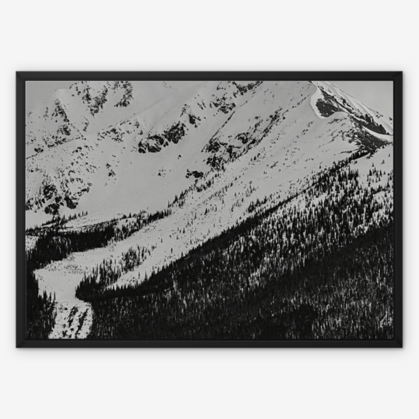 Mountain Majesty Wall Art