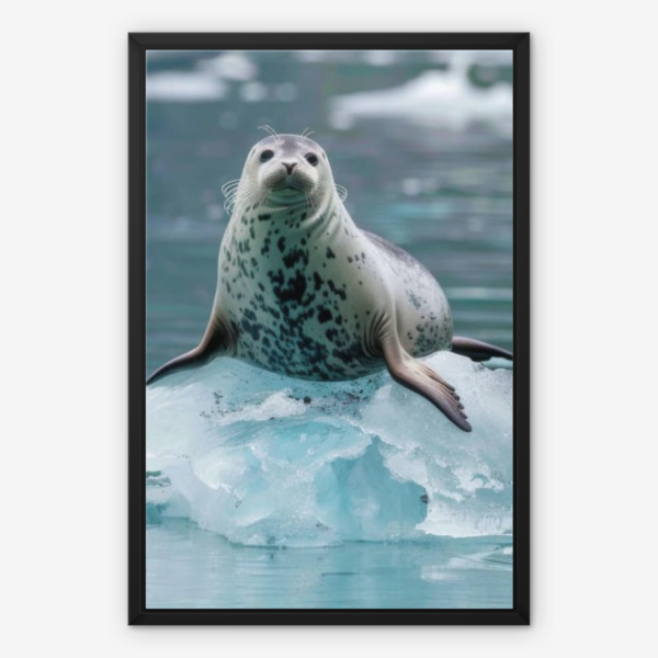 Seal Wall Art