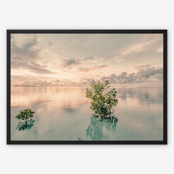 Serenity at Sunrise Wall Art