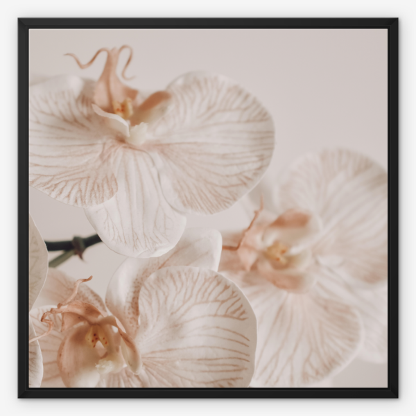 Soft Bloom Wall Art