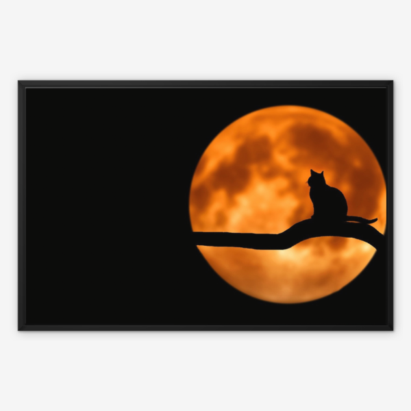 Full Moon Wall Art