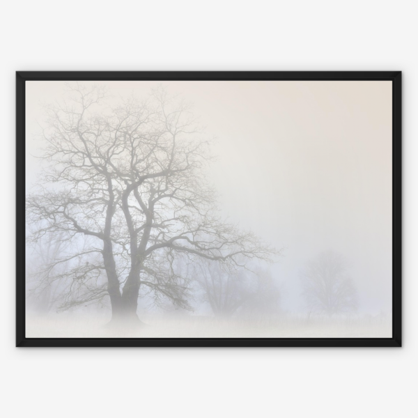 Lone Tree in Soft Mist Wall Art