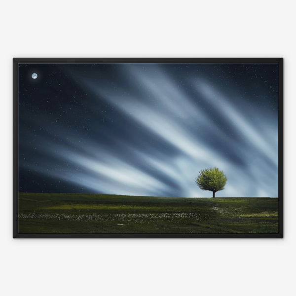 Night Sky Wall Art