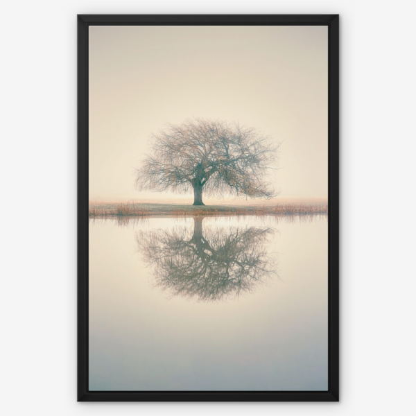 Reflection  Of Solitude Wall Art