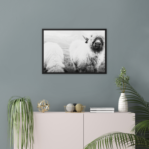 Blacknose Sheep Wall Art - Image 2