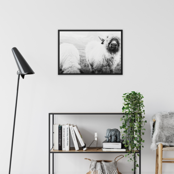 Blacknose Sheep Wall Art - Image 3