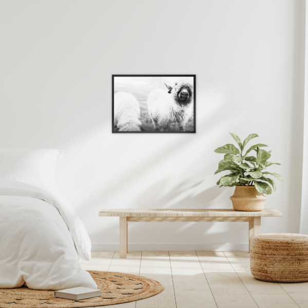 Blacknose Sheep Wall Art - Image 4